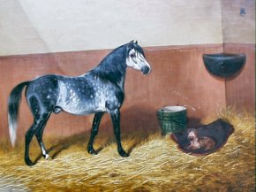 OIL OF HORSE & DOG